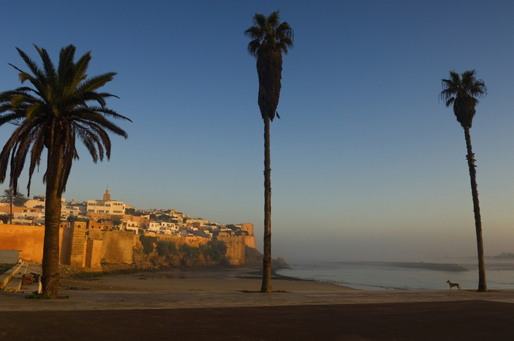 Kasbah Des Oudaias, Rabat Poster Print, 38 x 24 - Large