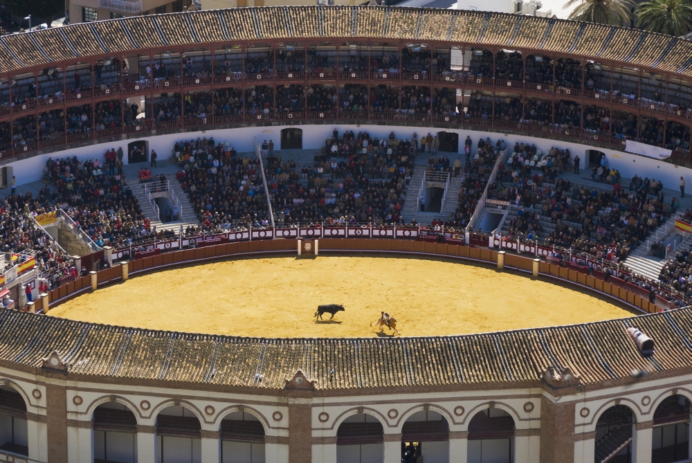 Elevated View of Bullring Poster Print - 19 x 12