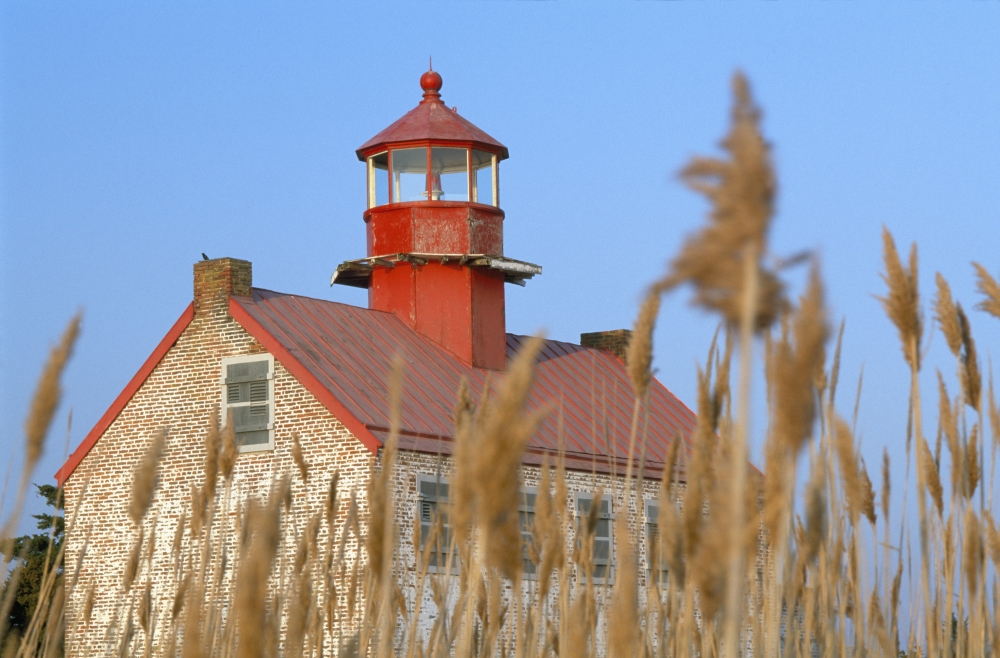 Lighthouse In Wheat Field Poster Print - 38 x 24 - Large