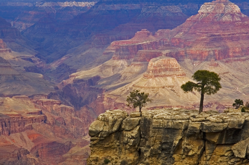 DPI1891718 South Rim of Grand Canyon, Elevated View Poster Print, 19 x 12