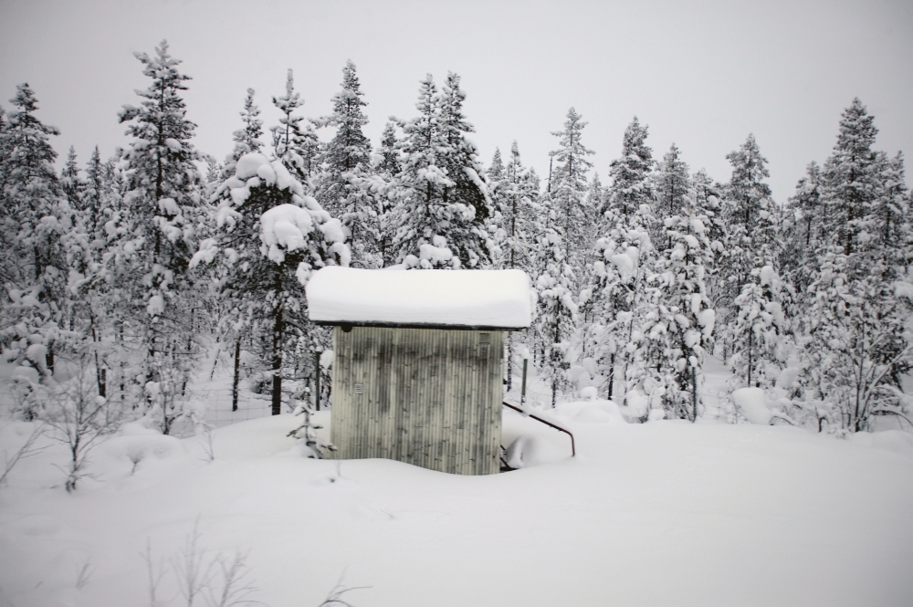 Snow Covered Cabin By Forest Poster Print - 19 x 12