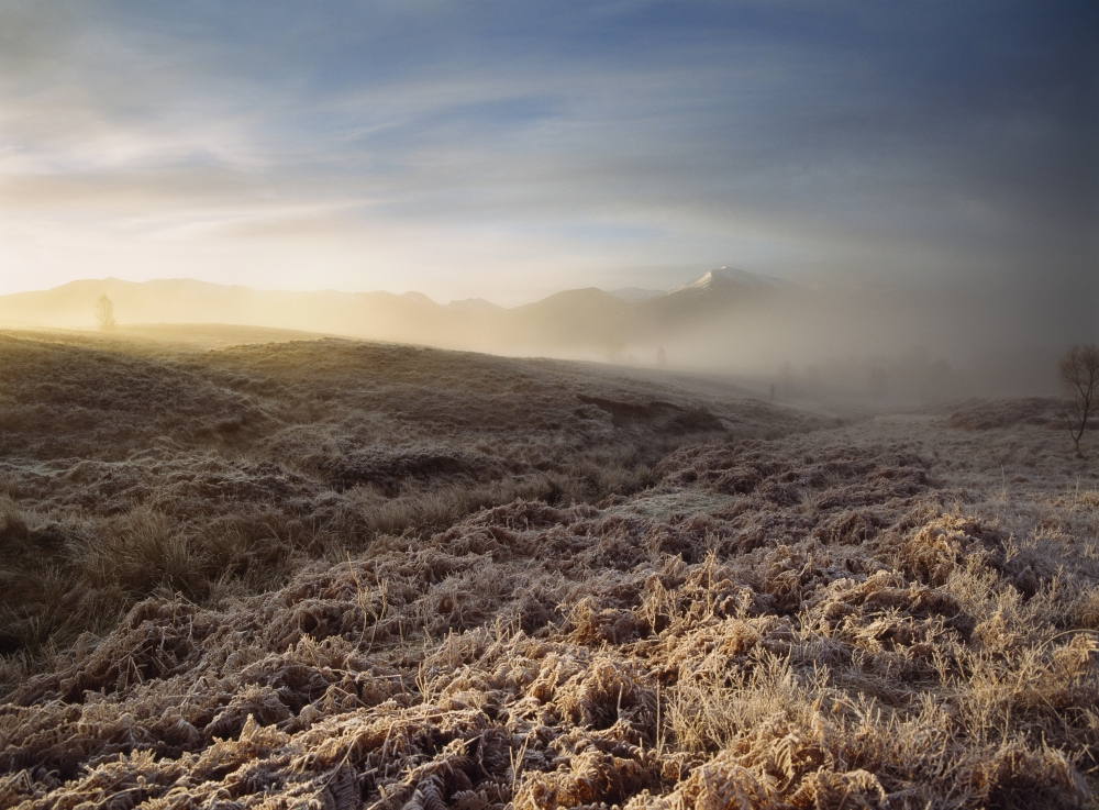 Frosted Fields & Misty Valley Poster Print - 18 x 13