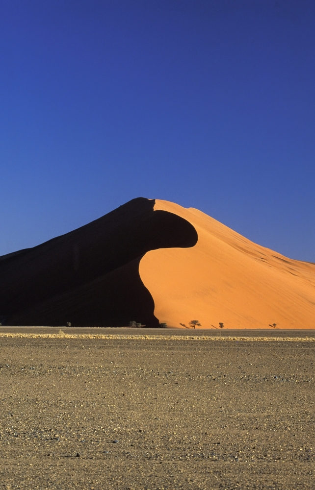 Sand Dune & Field Poster Print, 24 x 38 - Large