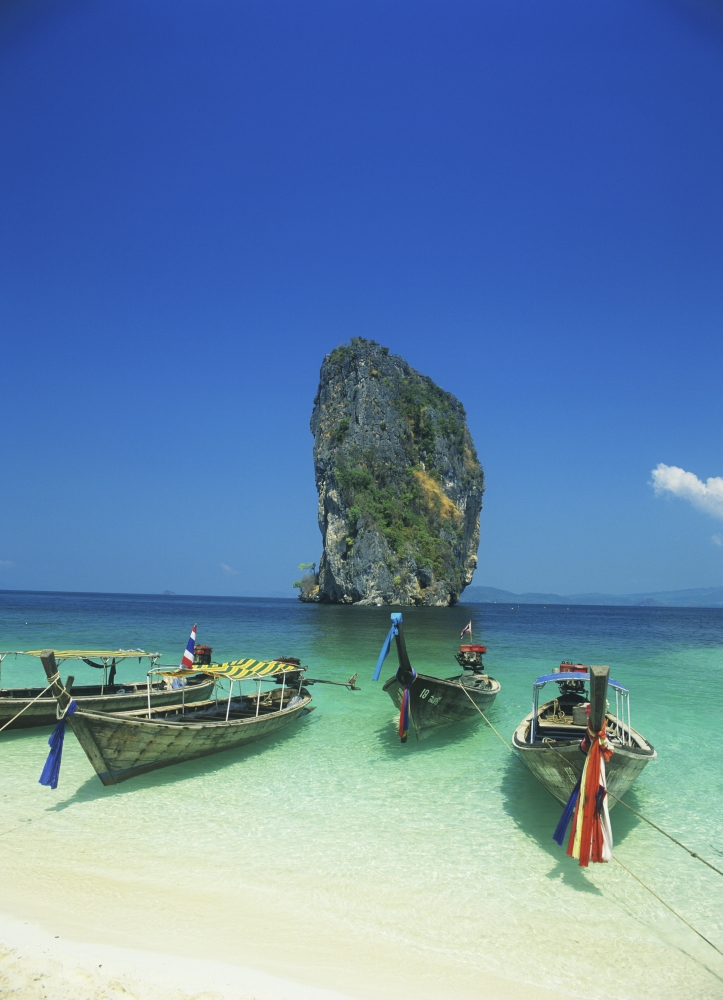 Traditional Boats Poster Print, 26 x 36 - Large