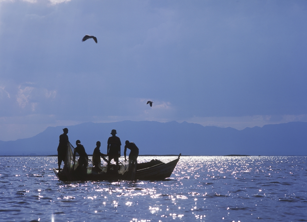 DPI1892289LARGE Fishermen Pulling Fishing Nets On Small Boat On Lake Chilwa Poster Print, 36 x 26 - Large