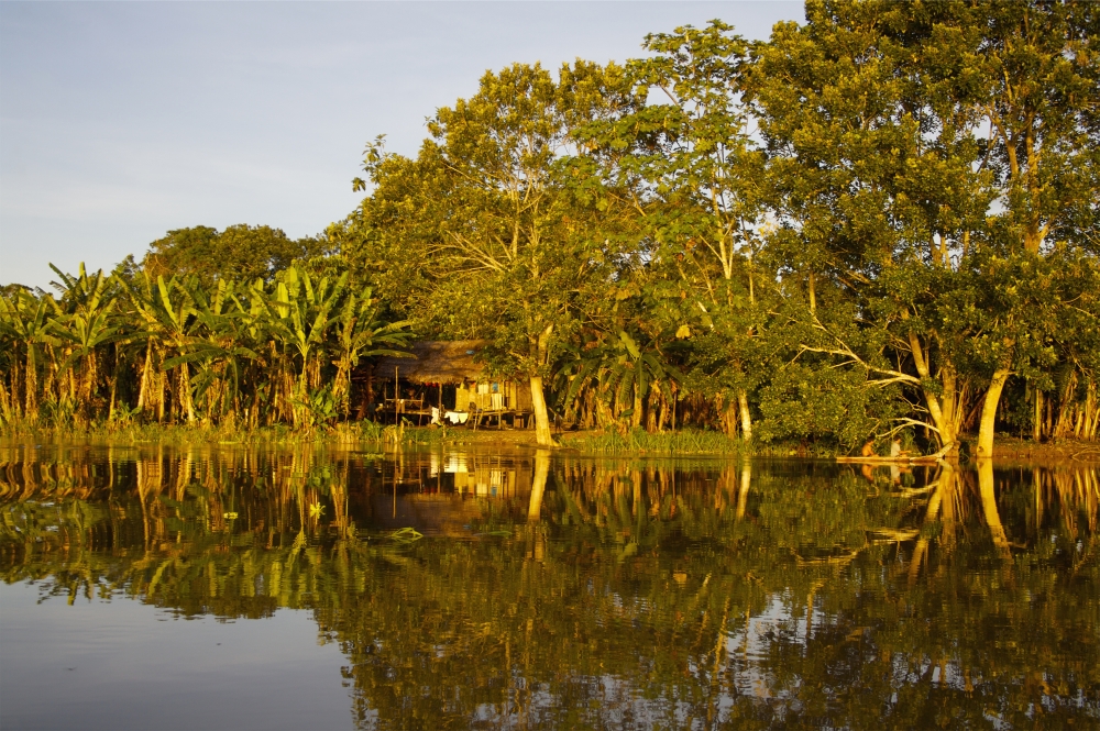 DPI1890698LARGE Traditional Amazon Village - Peru Poster Print, 38 x 24 - Large