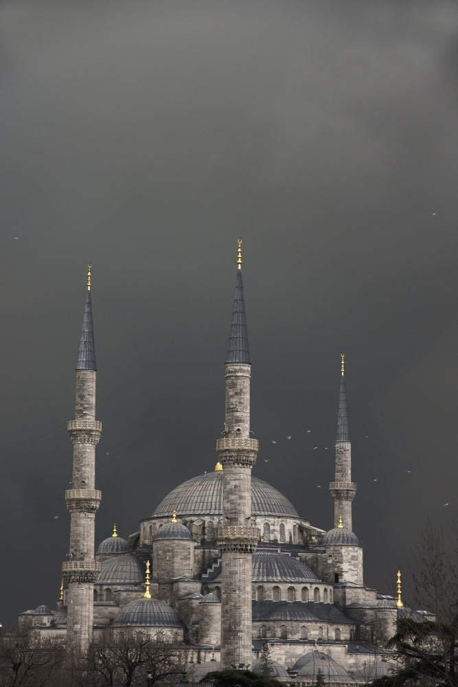 Blue Mosque & Sultan Ahmet Camii Poster Print, 24 x 38 - Large