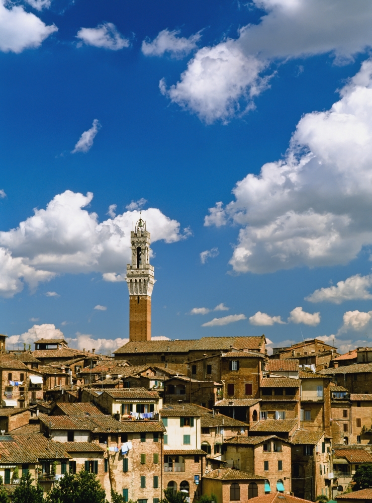 Torre De Mangia & Siena Skyline Poster Print, 13 x 18
