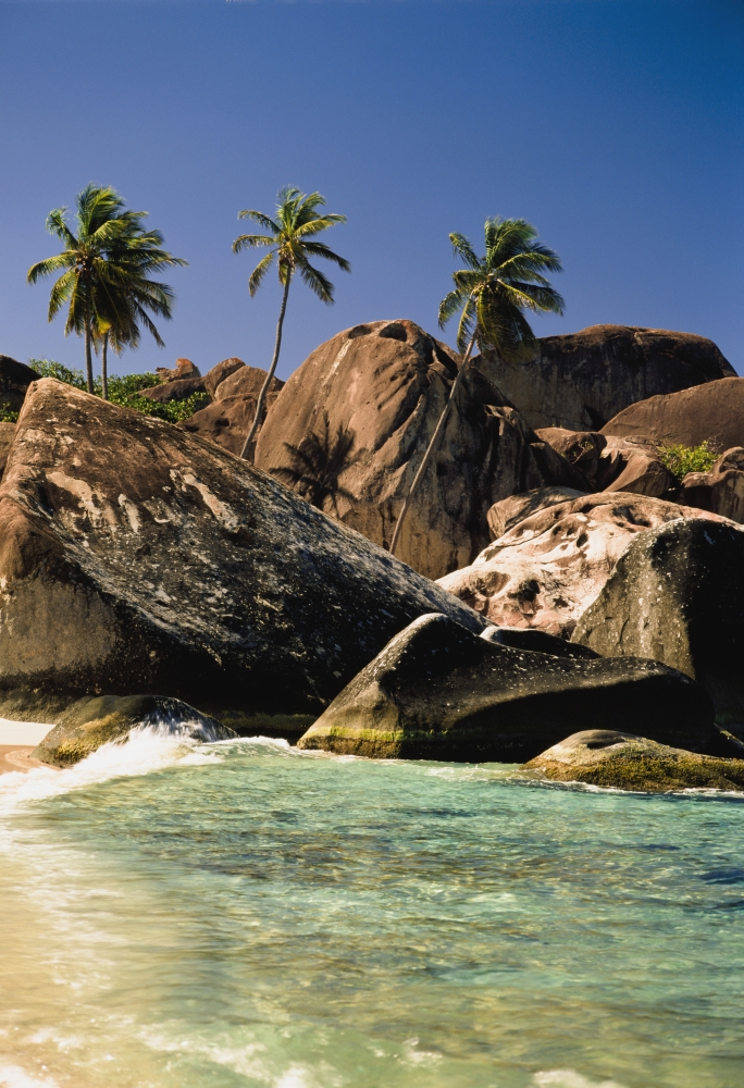 Boulders & Palm Trees On Tropical Beach Poster Print, 24 x 36 - Large