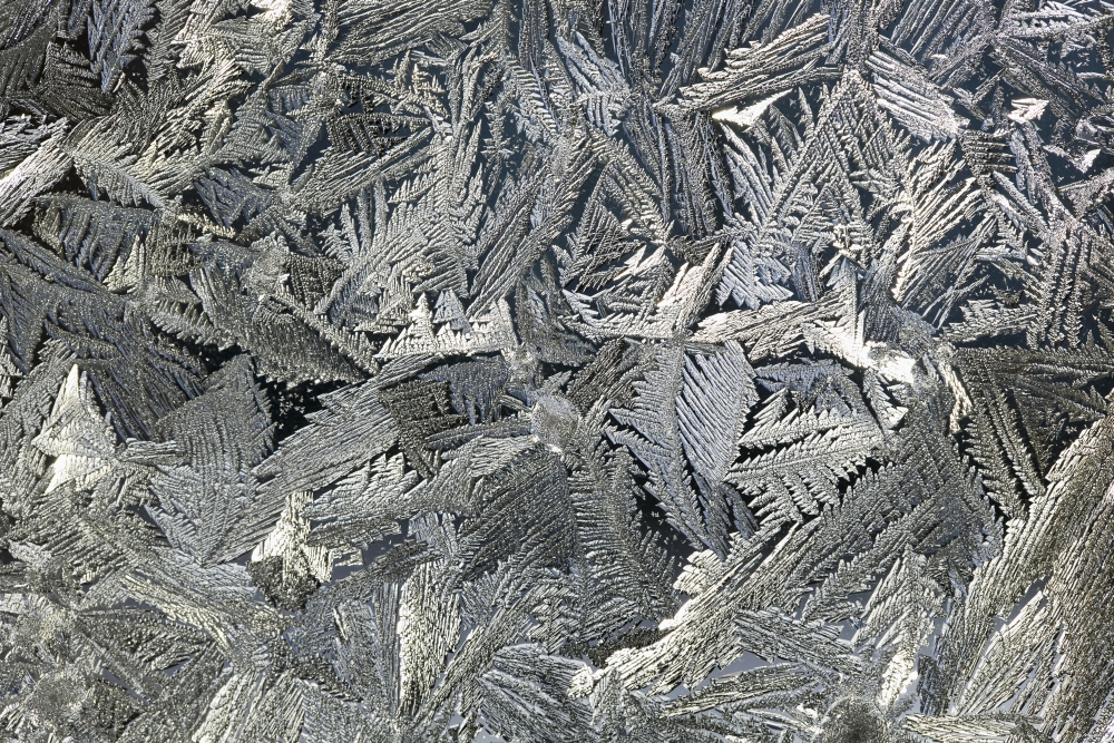 Frost Crystals On A Window - Calgary, Alberta, Canada Poster Print, 19 x 12
