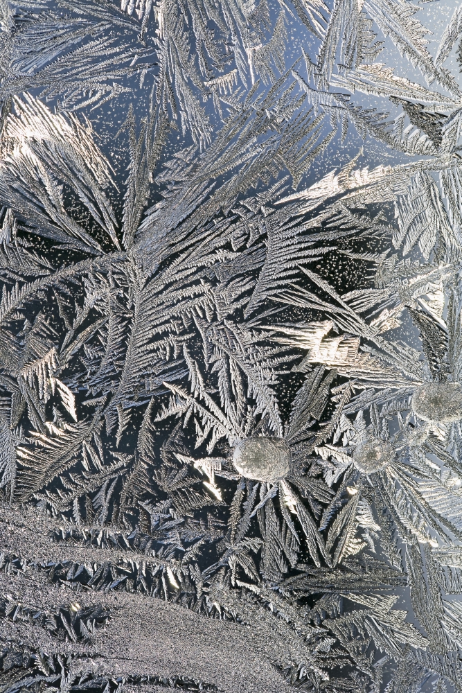 Frost Crystals On A Window - Calgary - Alberta - Canada Poster Print - 24 x 38 - Large