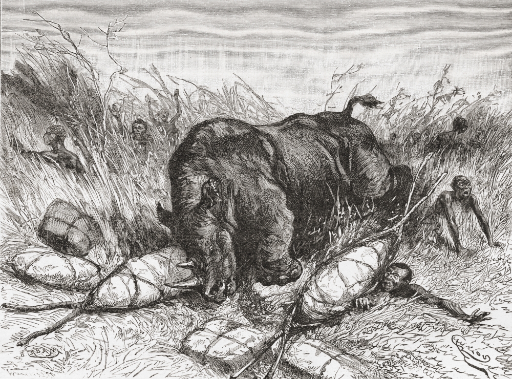 DPI1903502LARGE A Rhinoceros Attacks An Expedition In The 19th Century From The Book Africa Pintoresca Published 1888 Poster Print, 34 x 24 - Large