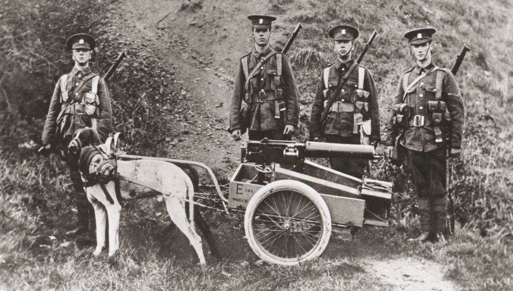 DPI1903584LARGE British Army Using Dogs to Pull A Machine Gun During World War I From The Illustrated War News, 1915 Poster Print, 38 x 22 - Large