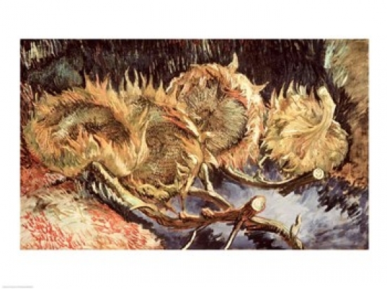 BALXTD68223LARGE Four Withered Sunflowers 1887 Poster Print by Vincent Van Gogh - 36 x 24 in. - Large