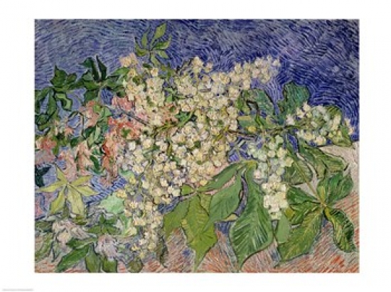 BALXTD68227 Blossoming Chestnut Branches 1890 Poster Print by Vincent Van Gogh - 24 x 18 in.