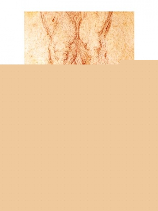 BALBAL191761LARGE Study for A Crucifixion Poster Print by Michelangelo Buonarroti - 24 x 36 in. - Large