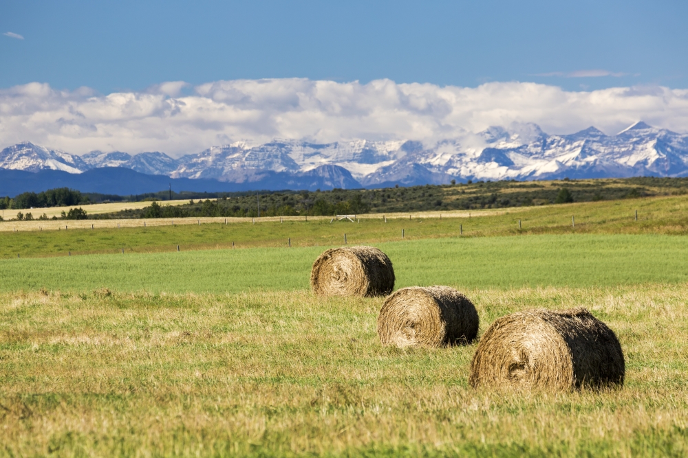 Three Hay Bales in A Field with Mountains in The Background Slightly Snow Covered & Cloudy with Blue Sky Poster Print - 19 x 12 in.