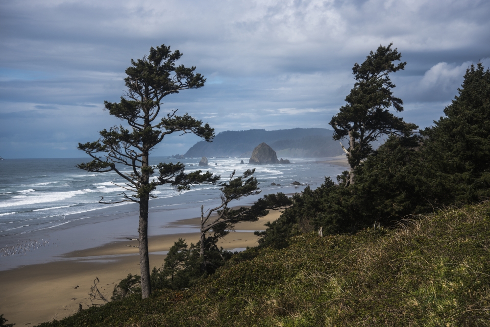 DPI12276067LARGE Haystack Rock & Tillamook Head Coastal Landmarks - Tolovana Oregon United States of America Poster Print - 38 x 24 in. - Large