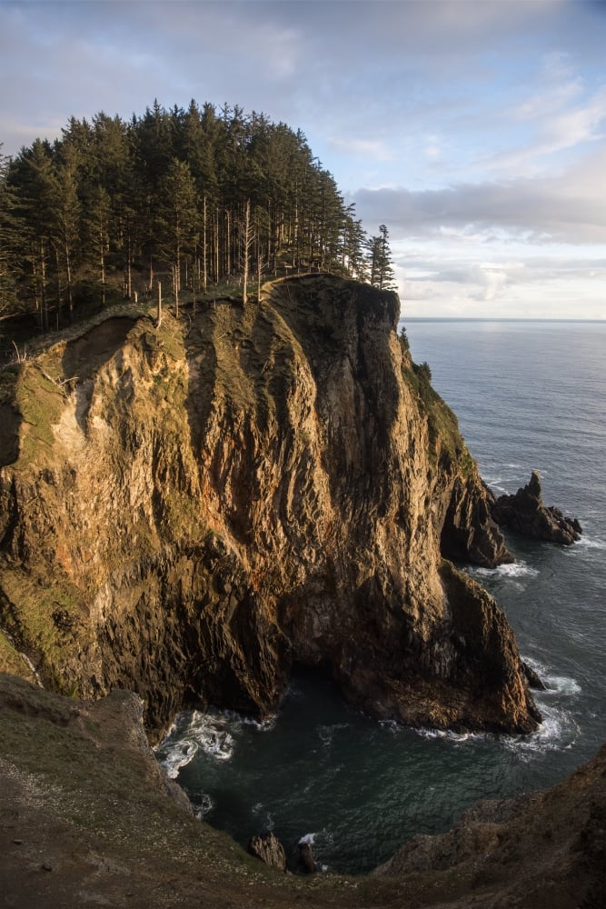 DPI12277089 Tall Cliffs Are Found at Oswald West State Park - Manzanita Oregon United States of America Poster Print - 12 x 19 in.