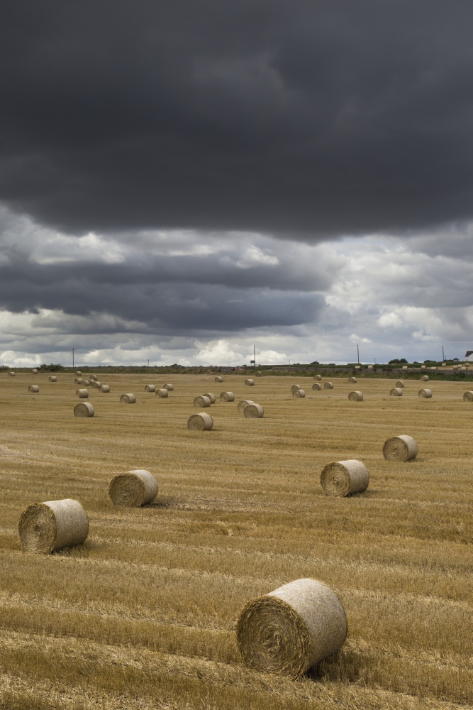 DPI12279492 Dark Storm Clouds Over A Field with Hay Bales - South Shields England Poster Print - 12 x 19 in -  Posterazzi