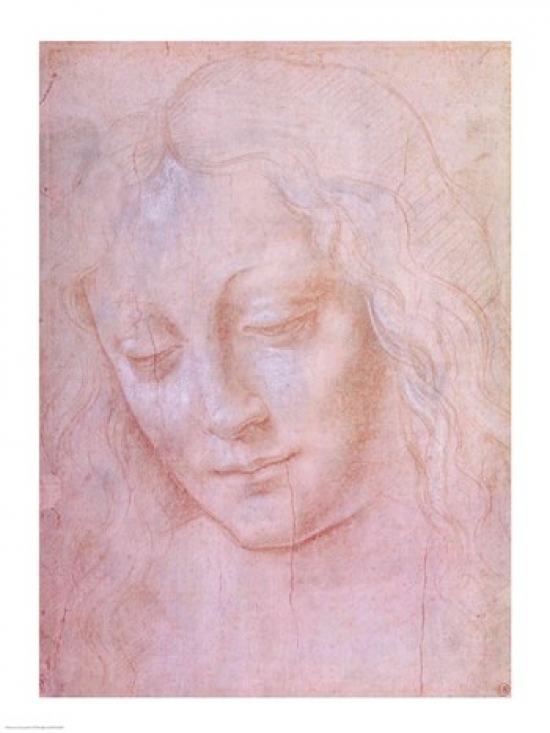 Head of A Woman Poster Print by Leonardo Da Vinci - 18 x 24 in.