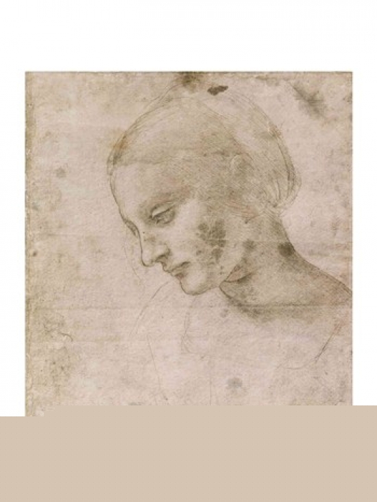 Picture of Posterazzi BALXIR192492LARGE Head of A Young Woman Or Head of The Virgin Poster Print by Leonardo Da Vinci - 24 x 36 in. - Large