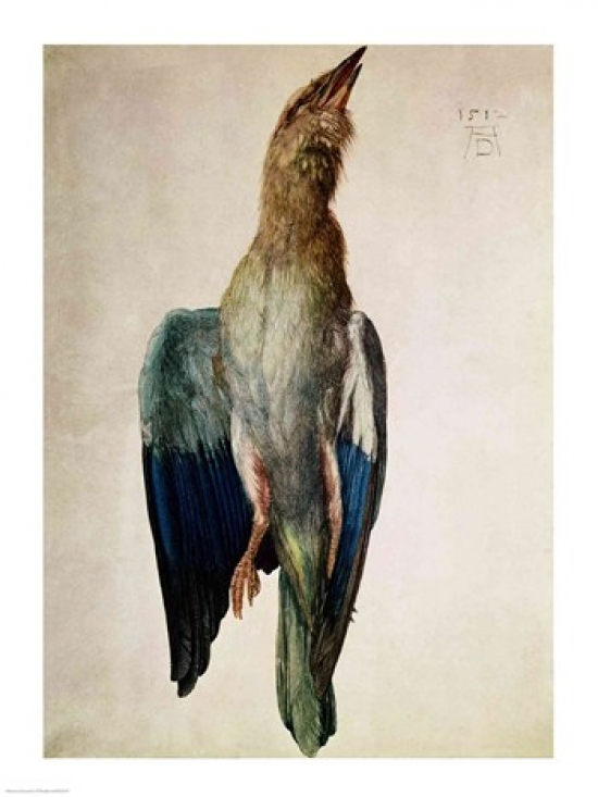 Picture of Posterazzi BALXIR201572 Blue Crow 1512 Poster Print by Albrecht Durer - 18 x 24 in.