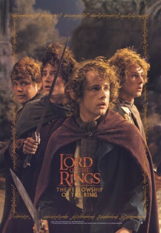 MOV247907 Lord of the Rings Fellowship of the Ring Movie Poster - 11 x 17 in.