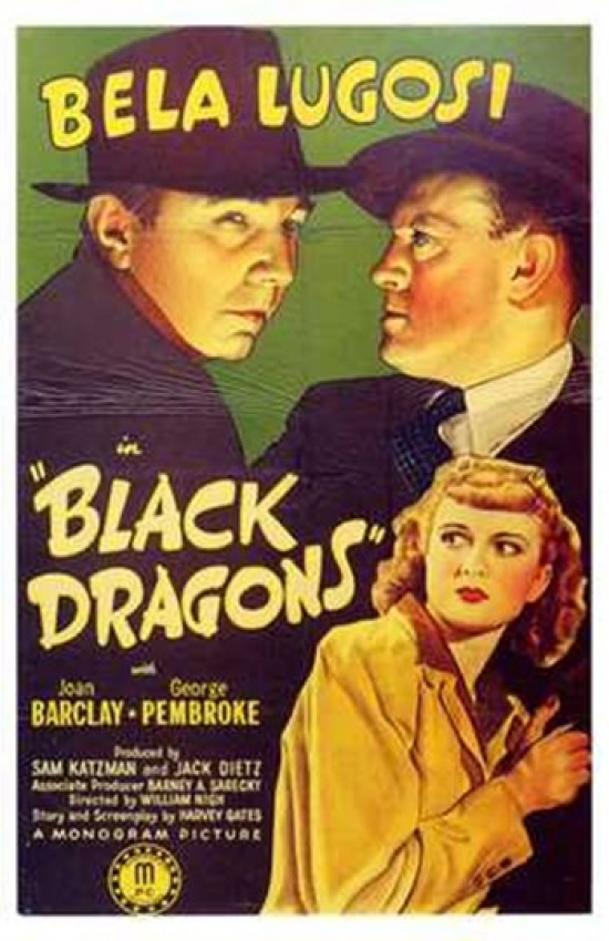 MOV199785 Black Dragons Movie Poster - 11 x 17 in.