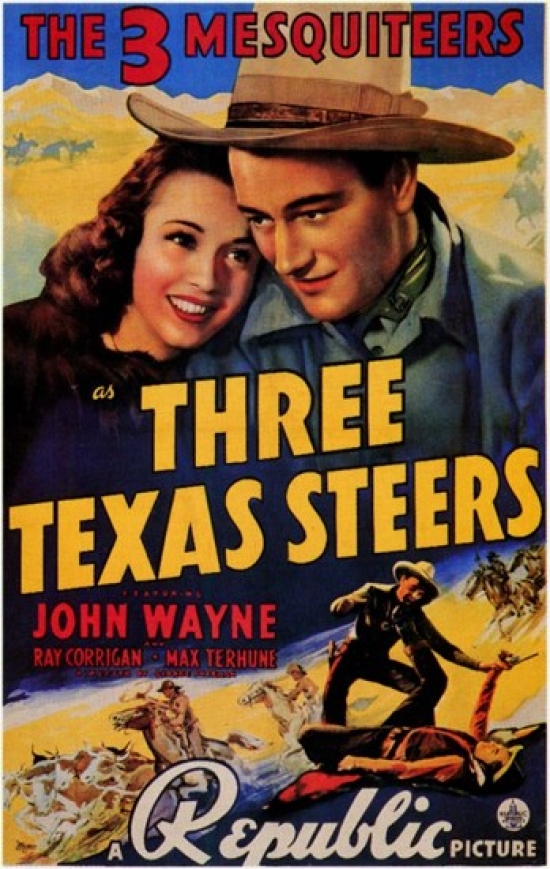 Three Texas Steers Movie Poster - 11 x 17 in.
