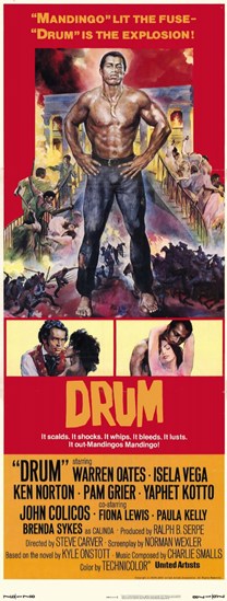 Drum Movie Poster - 11 x 17 in.