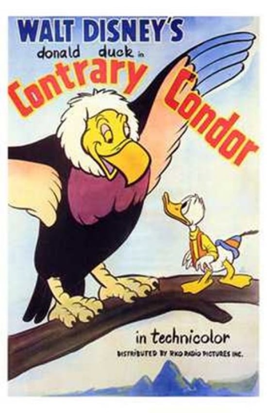 Contrary Condor Movie Poster - 11 x 17 in.