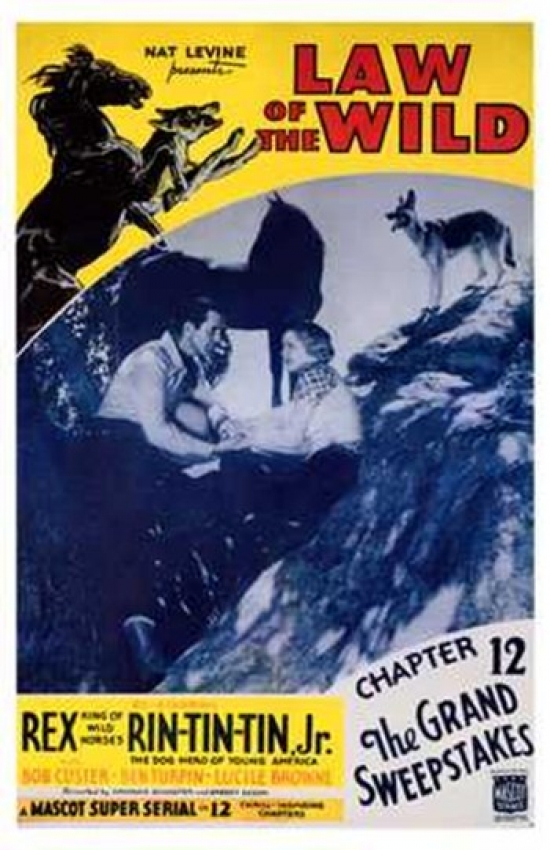 MOV200628 The Law of the Wild Movie Poster - 11 x 17 in.