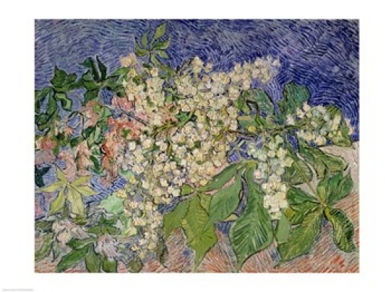 BALXTD68227LARGE Blossoming Chestnut Branches 1890 Poster Print by Vincent Van Gogh - 36 x 24 in. - Large