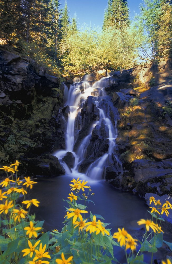 Waterfall Kootenays British Columbia Canada Poster Print - 11 x 17 in.