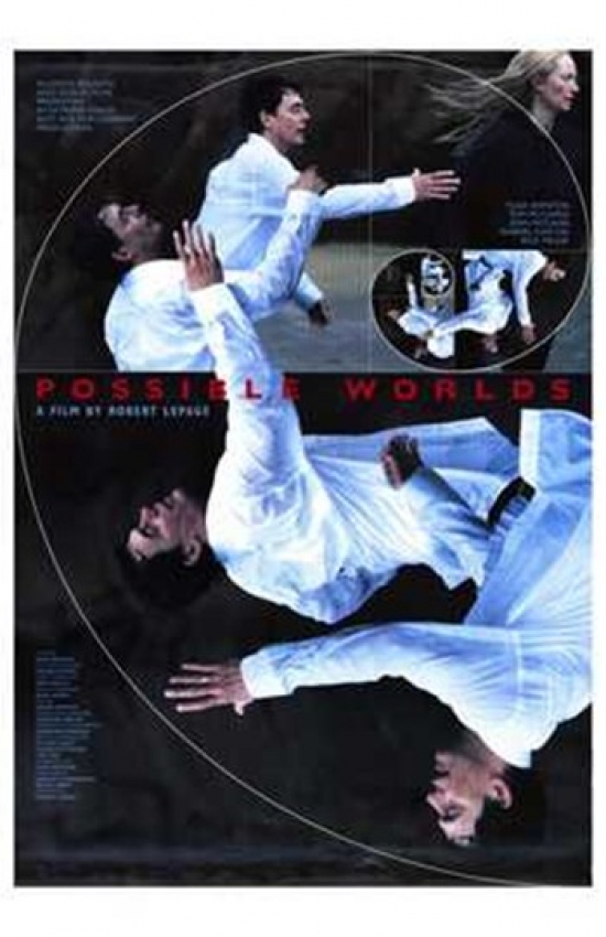 Possible Worlds Movie Poster - 11 x 17 in.