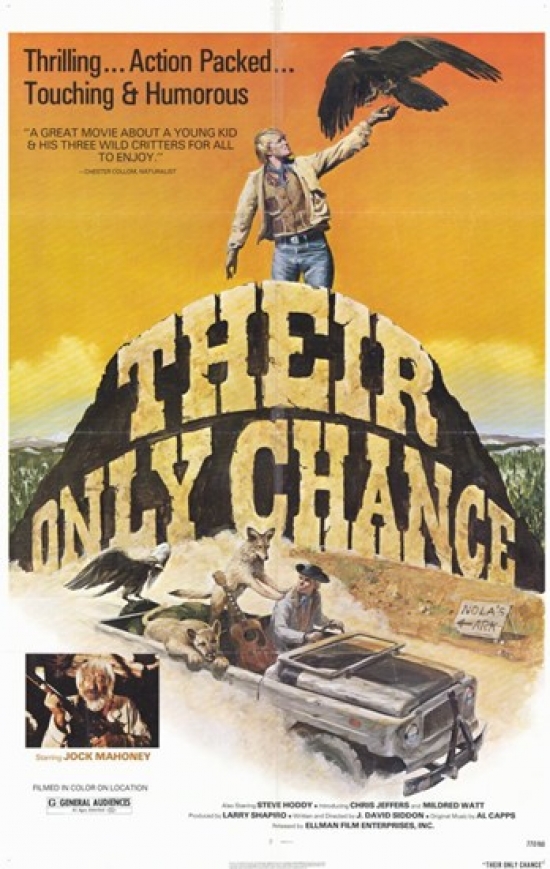 Their Only Chance Movie Poster - 11 x 17 in.