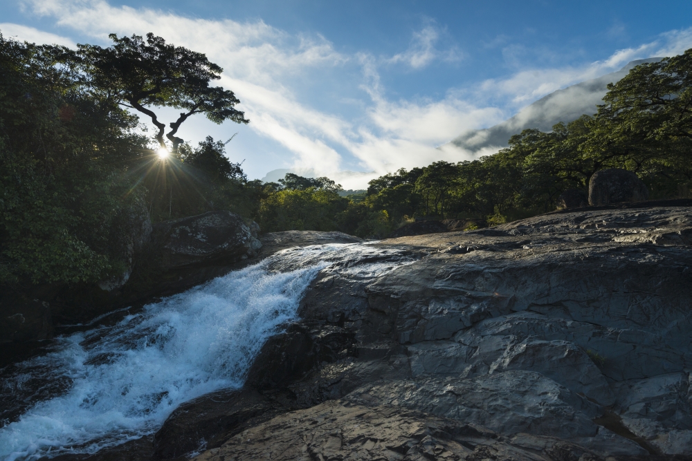 Looking Up Small Waterfall at Dawn Likhubula Mount Mulanje - Malawi Poster Print - 19 x 12 in.