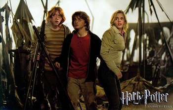 MOV356587 Harry Potter & the Goblet of Fire Movie Poster - 17 x 11 in -  Posterazzi