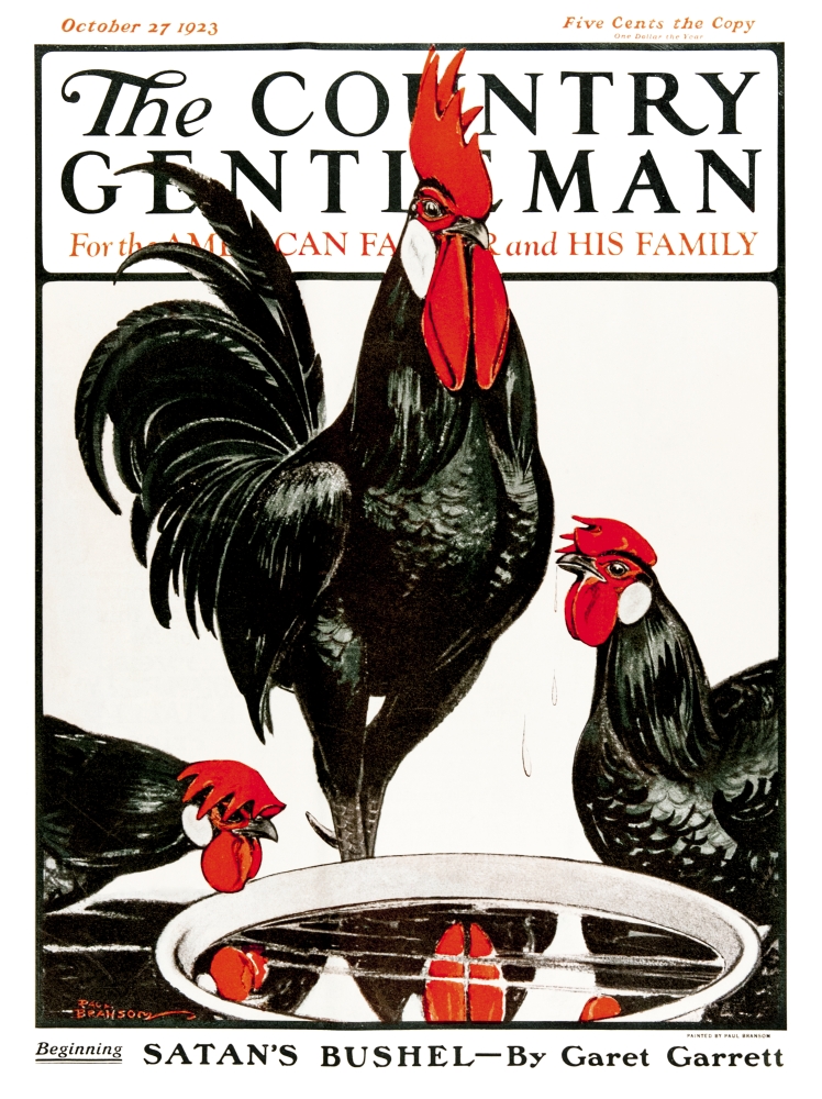DPI12272517 Cover of Country Gentleman Agricultural Magazine From The Early 20th Century Poster Print - 13 x 17 in -  Posterazzi