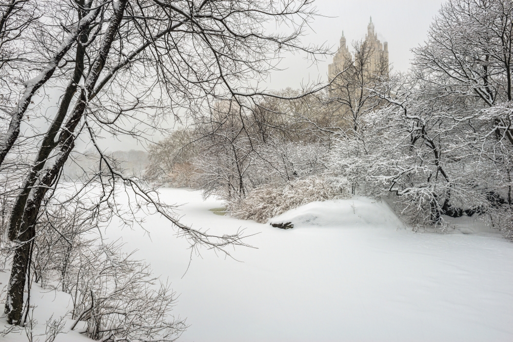 DPI12275731LARGE The Lake Frozen Over & Snow-Covered Central Park - New York City United States of America Print - 38 x 24 in. - Large