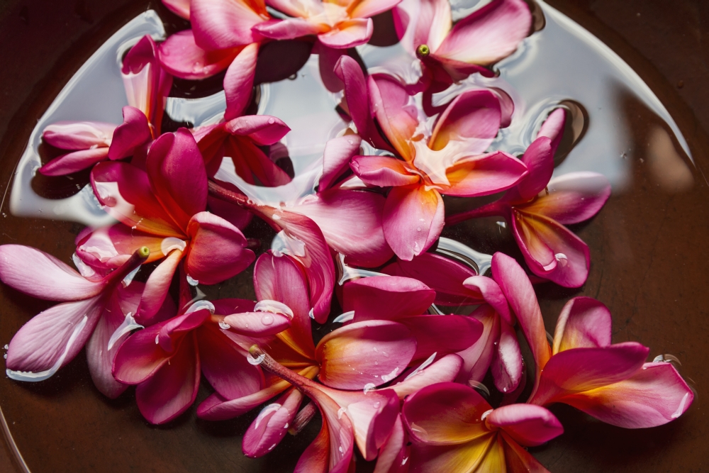DPI12275740 Plumerias in A Bowl at Saptohoedojo Art Gallery Yogyakarta Java Island Indonesia Poster Print - 19 x 12 in.