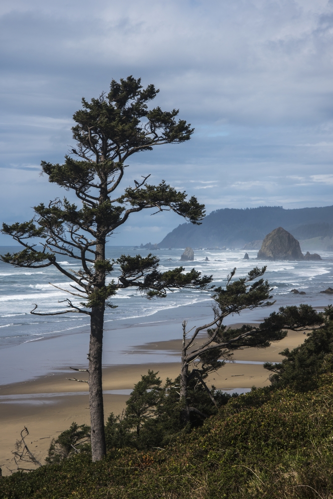 DPI12276068 Haystack Rock & Tillamook Head Coastal Landmarks - Tolovana Oregon United States of America Poster Print - 12 x 19 in.