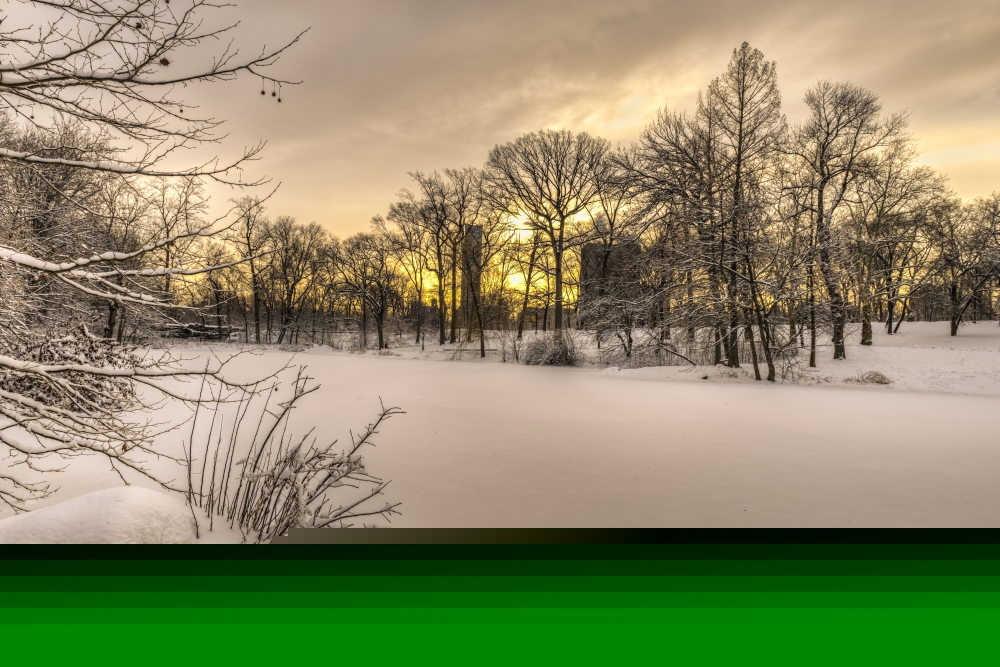 DPI12276393LARGE The Pool Frozen Over at Sunrise in Central Park - New York City United States of America Print - 38 x 24 in. - Large