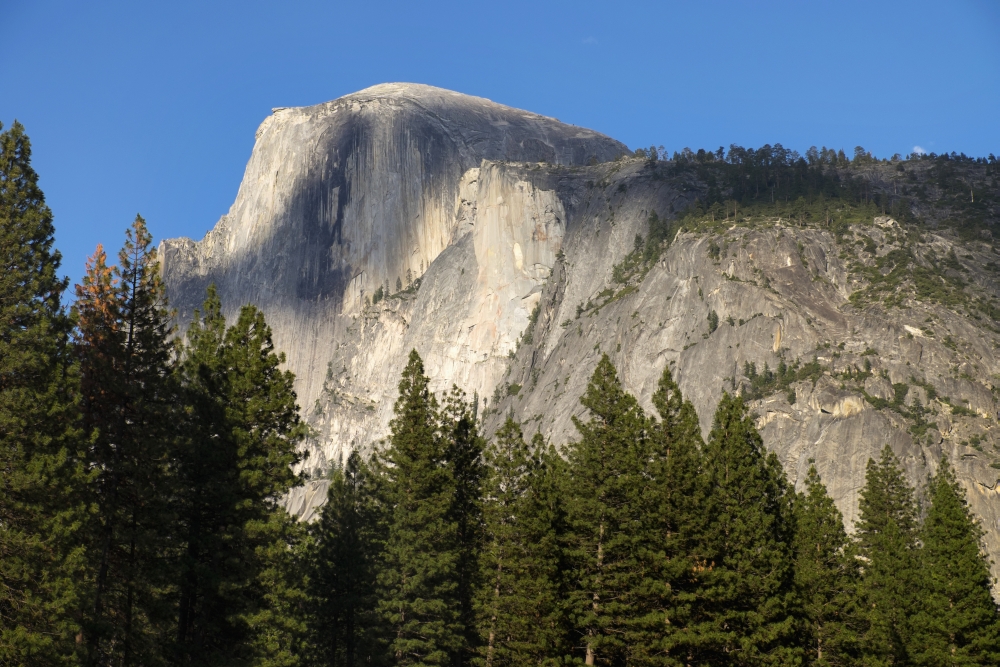 DPI12278821 Scenic View of Half Dome From Yosemite Valley Yosemite National Park - California United States of America Poster Print - 19 x 12 in.