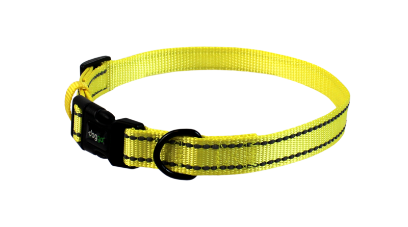 Picture of Pet Adventures DGO CLR NY SM 10 x 14 in. Nylon Collar with Reflective Stitching, Neon Yellow - Small