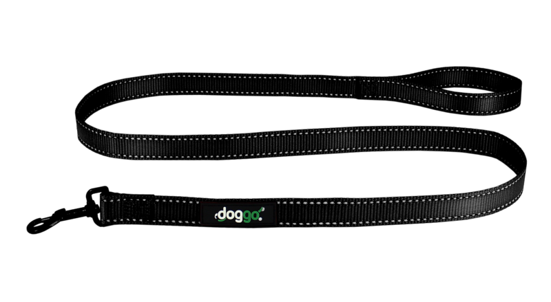 Picture of Pet Adventures DGO LSH BK MD 5 ft x 0.75 in. Nylon Leash with Reflective Stitching, Black - Medium