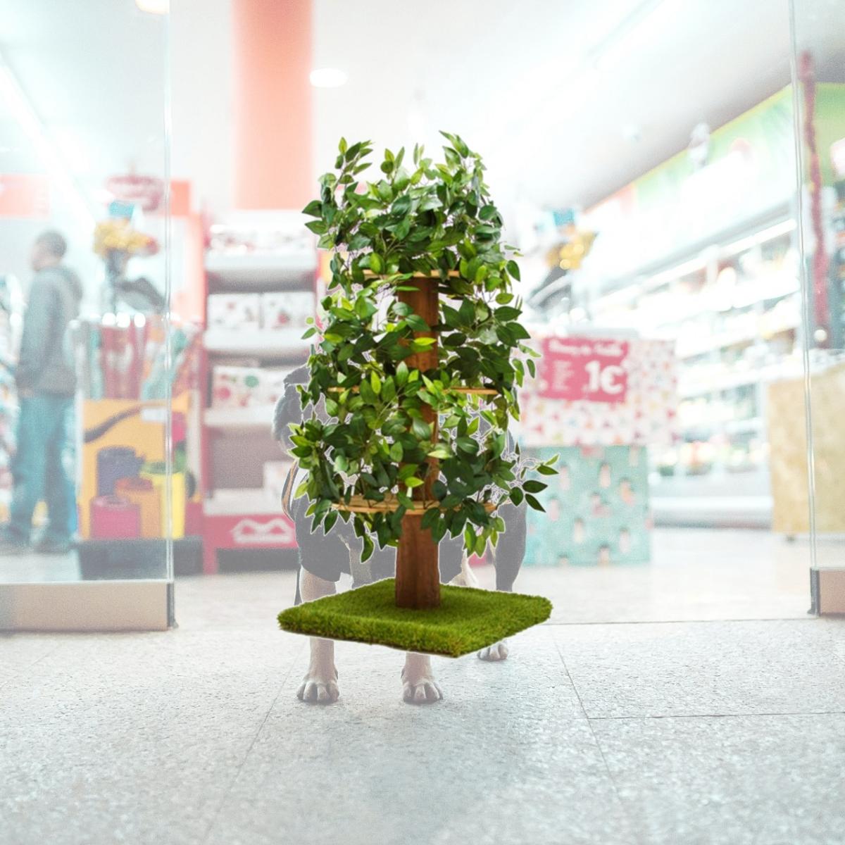 Picture of Petdwell CatHaven Large Square Cat Condo  5ft.