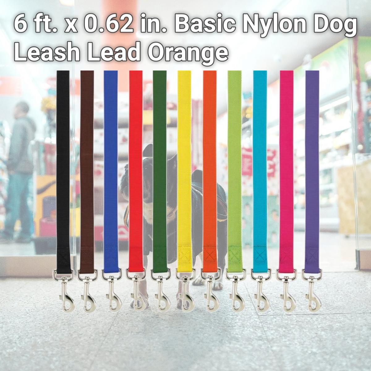 Picture of Casual Canine ZM2392 64 69 6 ft. x 0.62 in. Basic Nylon Dog Leash Lead, Orange