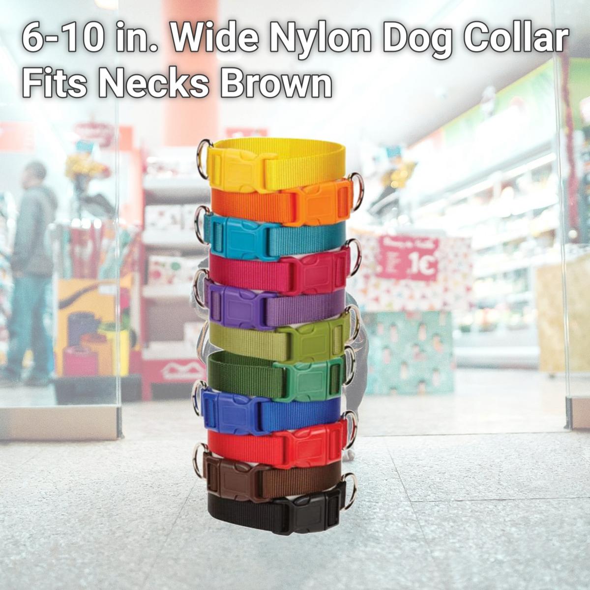 Picture of Casual Canine ZM2391 06 31 6-10 in. Wide Nylon Dog Collar Fits Necks, Brown
